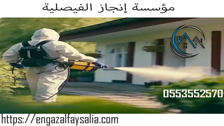 شركة رش مبيد النمل الأبيض بالرياض